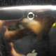Image for article titled What Are These Camera-fied iPod Touch "Prototypes" Doing On eBay?